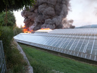 <p>Harter Schlag für die Rutishauser AG in Züberwangen SG: Das Traditionsunternehmen erlitt beim Grossbrand vom Freitagabend 6. September nahezu eine…</p>