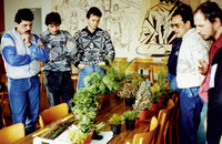 <p>Seit 1986 werden an der Gewerbeschule in Brugg berufsbegleitende Vorbereitungskurse für Landschaftsgärtner angeboten. Damit wurde, und wird auch…</p>