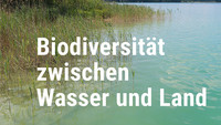 <p>Aquatische und terrestrische Lebensräume sind eng miteinander verbunden. Viele Pflanzen- und Tierarten nutzen im Laufe ihres Lebens sogar beide.</p>