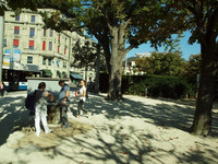 Stadtgärtnerei Luzern setzt auf neue Methode bei der Rettung einer über 100-jährigen Linde  <p>Die vor Jahren durchgeführten umfangreichen Bauarbeiten an Werkleitungen und der anschliessend über den Wurzeln erstellte Mergelplatz gefährden eine…</p>
