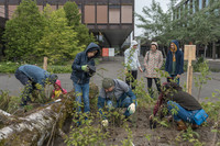 <p>Eine Forschungsgruppe der OST unter der Leitung von Prof. Dr. Christoph Küffer hat im Auftrag des Bundesamtes für Umwelt (BAFU) den Bericht…</p>