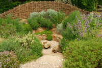 <p>Ein Senkgarten ist ein spannungsreicher Raum voller Kontraste. Der Strenge der geometrischen Form steht eine überquellende Pflanzenfülle gegenüber.…</p>