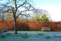 <p>Bloss keinen Apfelbaum, der macht Dreck und zieht die Wespen an! Wenn frucht­tragende Bäume als Dreckschleudern gefürchtet werden, ist es an der Zeit,…</p>