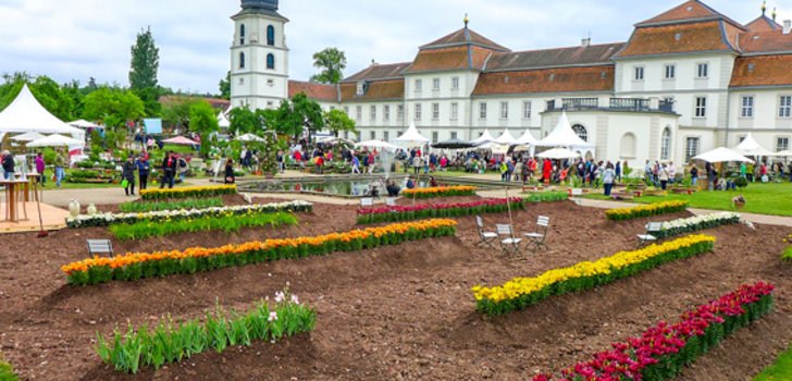 Blumenzucht kritisch betrachtet