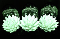 <p>Am 16. Januar 2014 wurden die Gewinner der «Gläsernen Tulpe» 2014 bekannt gegeben. Mit diesem Preis zeichnet die weltgrösste Blumenversteigerung,…</p>