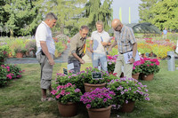 <p>Das Ziel von 500 Besucherinnen und Besuchern hat die Wyss Samen und Pflanzen AG erreicht. Einmal mehr lockten die Wyss Gartentage viele Fachleute an…</p>