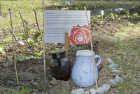 Die andere Grüngestaltung – Guerilla gärtnern in Basel <p>Ein biederer Rasenfleck verwandelt sich in einen bunten Gemeinschaftsgarten, im Stadtpark wachsen über Nacht Auberginen. Die BSetzlinge, Basels erste…</p>