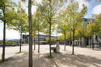 <p>Der Schweizer Heimatschutz (SH) zeichnet die Stadt Baden mit dem Wakkerpreis 2020 aus. Begründet wird die Wahl mit «klugen Investitionen in die…</p>