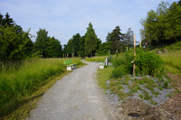 Essbarer Park in St. Gallen eröffnet <p>Der neu gestaltete Park Stephanshorn, gelegen in der Nähe des Naturmuseums und des Botanischen Gartens, ist ab sofort für Besucherinnen und Besucher…</p>