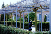 <p>Laubengänge und Pergolen sind prägende Gestaltungselemente. Sie verwandeln Gärten in behagliche Lebensräume, beschatten Wege, ermöglichen vertikale…</p>