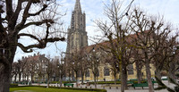 Bern: Münsterplattform bleibt durchgehend geöffnet <p>Seit Neujahr ist die Münsterplattform wieder definitiv rund um die Uhr geöffnet.  </p>