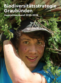 <p>Ein Jahr nach Beginn der Umsetzung zieht der Kanton Graubünden eine positive Zwischenbilanz seiner Biodiversitätsstrategie. Von den 28 vorgesehenen…</p>