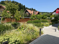 <p>Bei der visuellen Bewertung einer Pflanzung lassen wir uns gerne blenden. Vielfältige und farbenfrohe Staudenpflanzungen begeistern und wecken…</p>