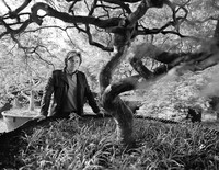 <p>Der Werdegang des Schweizer Gartengestalters, der einen kleinen Handelsbetrieb zum global tätigen Unternehmen mit 200 Mitarbeitern entwickelte, ist…</p>