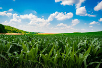 <p>Ein kostenloser Onlinekurs des EU-Projekts OrganicAdviceNetwork soll in Zusammenarbeit mit dem Forschungsinstitut für biologischen Landbau FiBL die…</p>