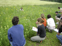 Biodiversität im Siedlungsraum – Fachwissen ist gefragt <p>Naturnah unterhaltene Grünflächen finden Anklang bei der Bevölkerung. Das Umdenken ist an vielen </p><p>Orten im Gang. Ihre Pflege bereits umgestellt haben…</p>