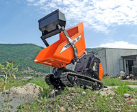 <p>Schütt- und Stückgut auf kurzen Distanzen befördern: Feinsinnige Gärtner nehmen dazu Raupendumper und schonen ihre eigene Muskelkraft für die…</p>