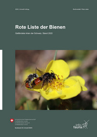 <p>Das Bundesamt für Umwelt (BAFU) hat erstmals seit 1994 die Rote Liste Bienen aktualisiert.</p>