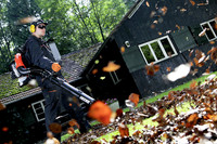 <p>Mit leisen Schritten kommt der Herbst und fegt bald das Laub aus den Bäumen. Am Boden haben dann Grün-profis wieder alle Hände voll damit zu tun,…</p>