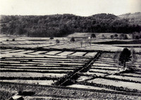 <p>Getrieben von politischen und wirtschaftlichen Entwicklungen wird die helvetische Landschaft Zeugin und – leider immer öfter – Opfer unseres…</p>