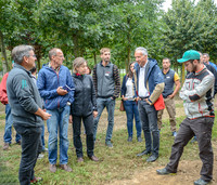 <p>Die Baumschule Hauenstein in Rafz lud Anfang September zur Fachtagung «Perspektive Grün 2019». Welche Arten in den heisseren und trockeneren Sommern…</p>