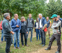 <p>Die Baumschule Hauenstein in Rafz lud Anfang September zur Fachtagung «Perspektive Grün 2019». Welche Arten in den heisseren und trockeneren Sommern…</p>
