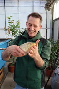 <p>Rolf Bossart hat seine Leidenschaft zum Beruf gemacht und mit Dualfisch ein eigenes Aquaponik-System aufgebaut. Im Interview erklärt er, was es…</p>