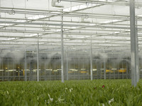 <p> Der «Promilleabgabefonds für den Obst- und Gartenbau» wird im Jahr 2012 Mittel des dänischen Landwirtschaftsministeriums in Höhe von insgesamt rund 1…</p>