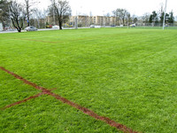 <p>Nicht alle Rasenflächen benötigen gleich viele Nährstoffe. Grundsätzlich gilt dabei, je intensiver ein Rasen genutzt wird, desto höher ist sein…</p>