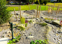 Sicherheit auf dem naturnahen Spielplatz <p>In unseren Städten wird Natur immer mehr zur Mangelware und Kindern fehlt oft ein entsprechendes Erfahrungsangebot. Gefragt sind fantasievolle…</p>