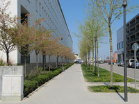 <p>Wie lassen sich Städte transformieren, damit sie im Zuge der Klimaerwärmung und des Biodiversitätsverlustes auch im Sommer lebenswert sind? Auf der…</p>