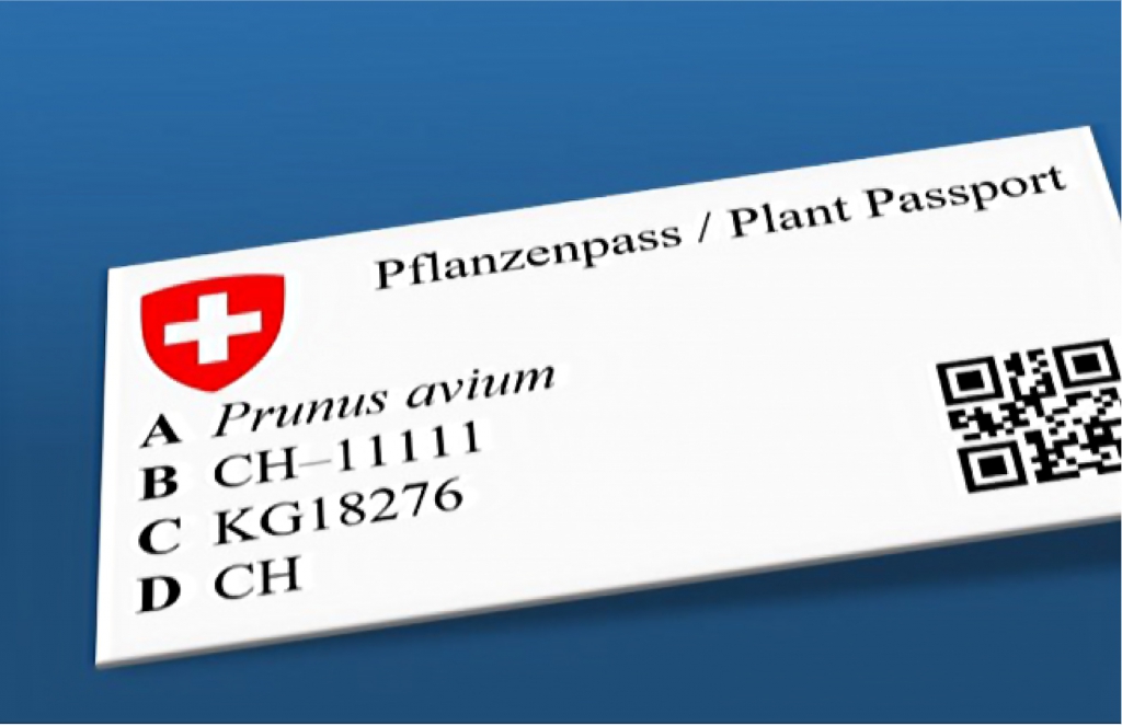 Der neue Schweizer Pflanzenpass
