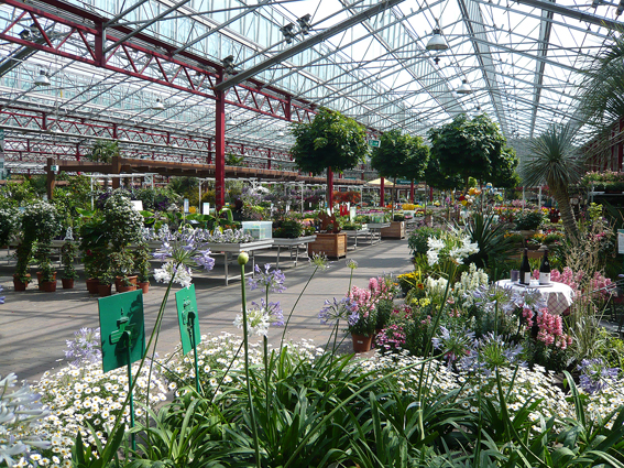 Der Gartenmarkt hat sich