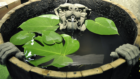 Dekorative Wasserspiele verzeichne
