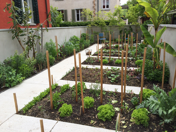 Neuer Selbstversorgergarten: