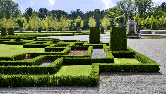 Die Pflanzbeete sind nicht