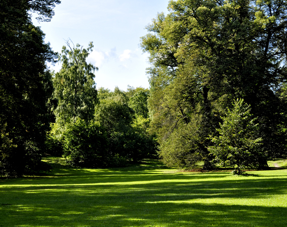 Im englischen Park von Haga,