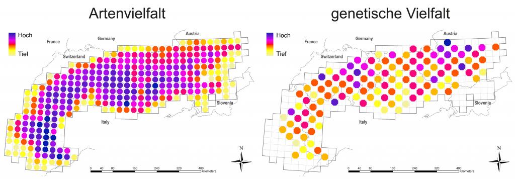 Vergleich der Artenvielfalt