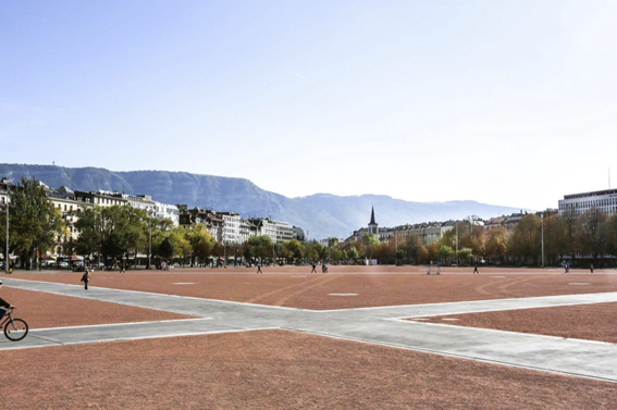 Hase in Gold für die Gestaltung