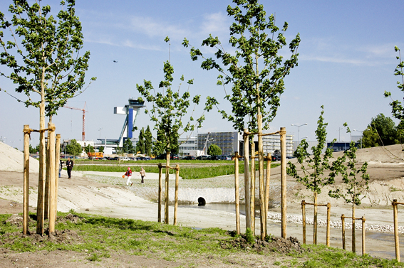 Die neue fünfjährige Frist