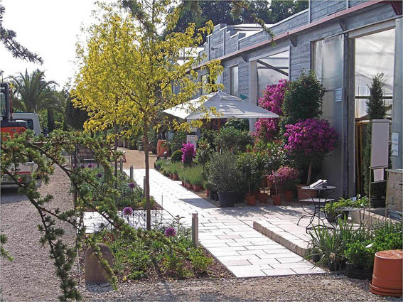 Ambiente – ein Wert, der