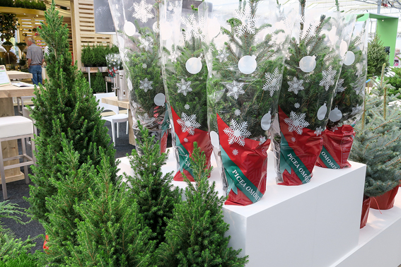 Weihnachtsbaum als Convenience-pro