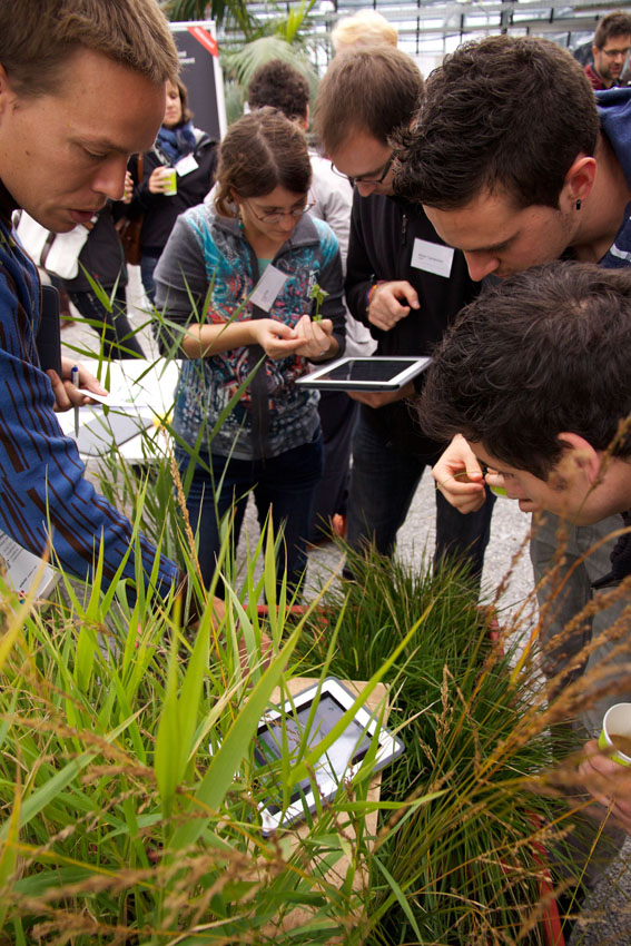 Anschauliche Einblicke in