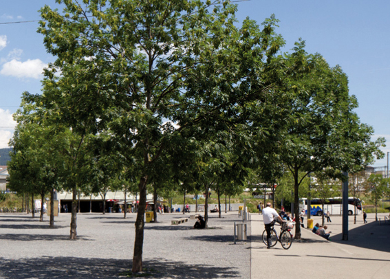 Robert-Walser-Platz Biel
