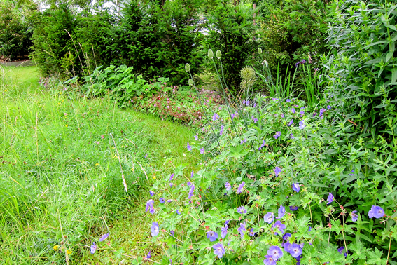 Eingefasste, nierenförmige