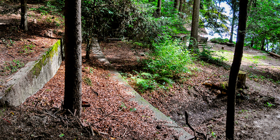 Vermutlich vor etwa 50 Jahren