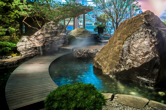 Gold Sonderschau Garten: