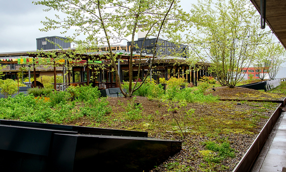 Dachterrasse des Gewerbegebäudes