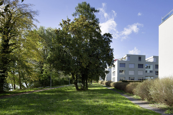 Wohnüberbauung Aarepark: