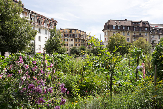 Schulthess Gartenpreis 2015